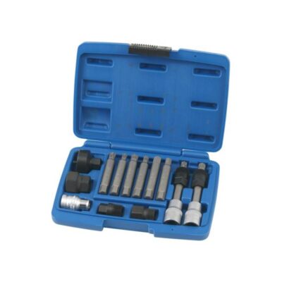 0XAT1219 set alata za remenice alternatora, 13 dijelova