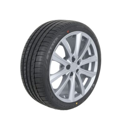 Diamondback DH201 205/55 R16 91V ljetna guma