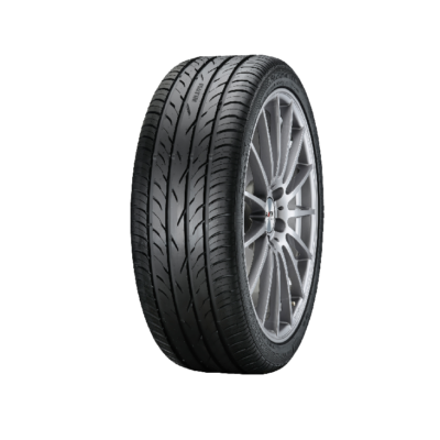 Platin RP-420 205/55 R16 91V ljetna guma