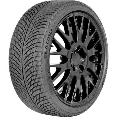 Michelin Pilot Alpin 5 315/30 R21 105V XL zimska guma