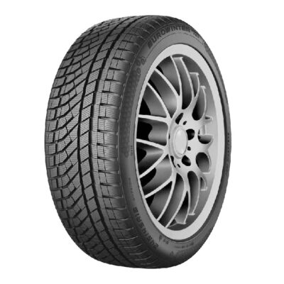 Falken Eurowinter HS02PRO 255/45 R20 96W XL zimska guma