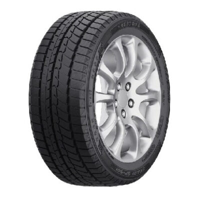 Austone Skadi SP-901 165/65 R14 79T zimska guma