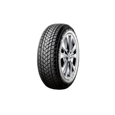 GT Radial WINTERPRO2SUV Evo 245/65 R17 111H XL zimska guma