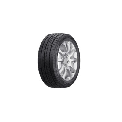 Austone Skadi SP-901 195/60 R15 88H zimska guma