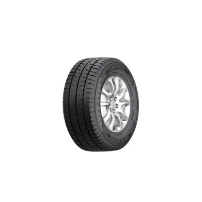 Austone Skadi SP-902 235/65 R16C 115/113R zimska guma za kombi