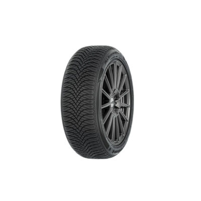Rotalla S210 225/55 R17 101V XL zimska guma