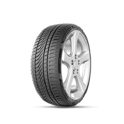 Petlas Fullgrip PT935 205/75 R16C 113R zimska guma za kombi