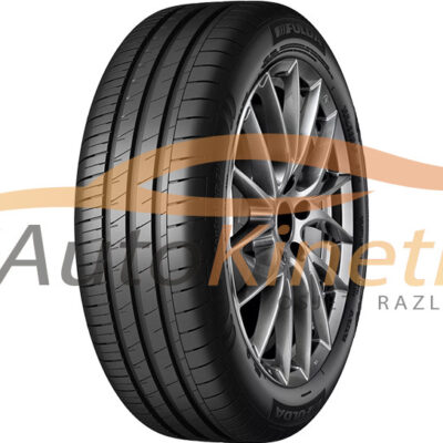 Fulda EcoControl HP2 195/65 R15 ljetna guma